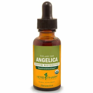 Angelica 1 oz by Herb Pharm