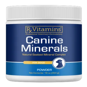 Canine Minerals Powder 454 g by Rx Vitamins (for Pets)