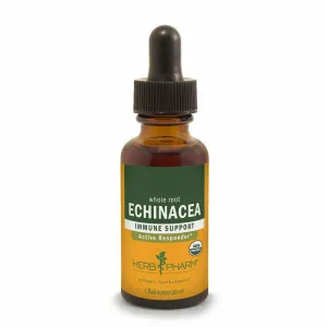 Echinacea by Herb Pharm