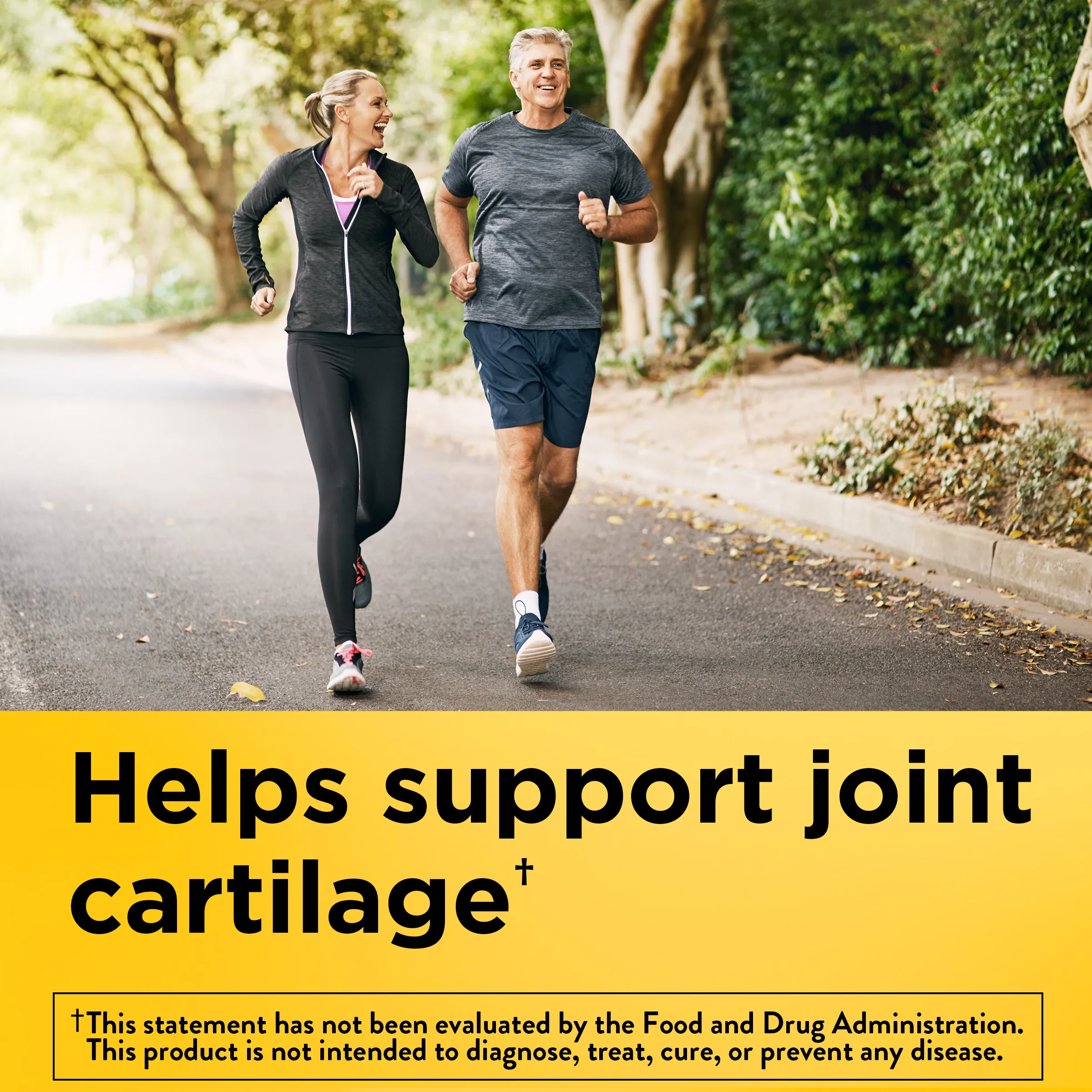 Glucosamine Chondroitin Complex with MSM Triple Strength   Vitamin D3
