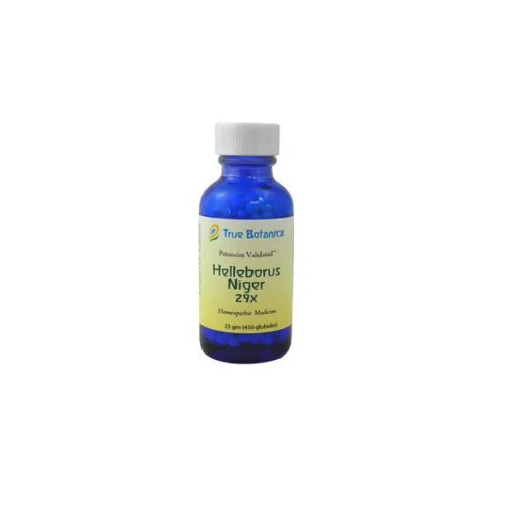 Helleborus Niger 29X 23 g by True Botanica