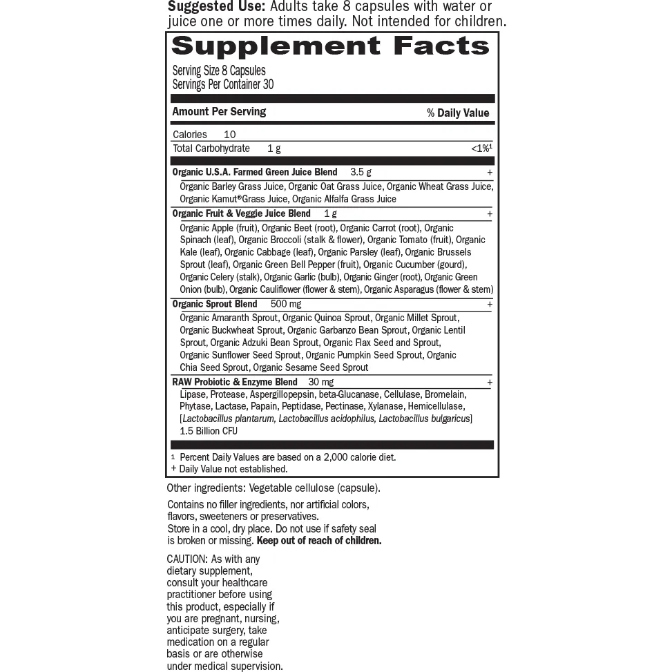 Perfect Food RAW 240 vcaps by Garden Of Life