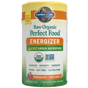 Perfect Food RAW Energizer 279 g by Garden Of Life